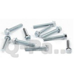 Carterboutset - flensbouten SW10 M6x35 blank zeskante kop per 10