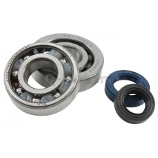 Lager-keerringset Peugeot Verticaal Euro 2 SKF