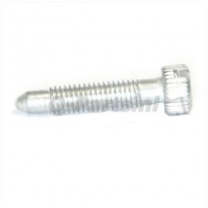 Stationairstelschroef Dellorto