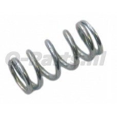 Stationairschroefveer Dellorto SHA