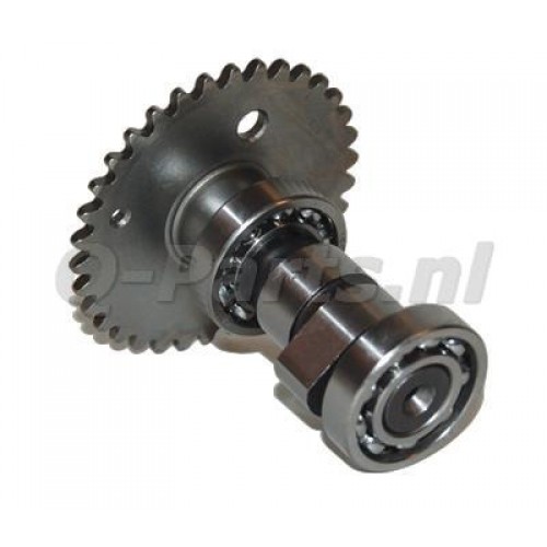 Nokkenas China 4 Takt/GY6