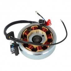 Ontsteking + vliegwiel China 4T/ GY6 Euro-4 25km 