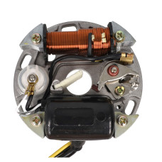 Ontsteking DMP 6v 17W kreidler, puch, sachs, zundapp