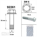 Carterboutset M6x30 blank zeskante kop per 10 (sleutelwijdte 8mm)