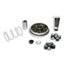 variokit malossi mhr euro-2/3/4 Honda 2010> forza, sh300 5114192