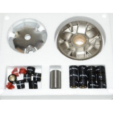 variokit jasil (made in EU) racing SV1 fox, rapido, vision met-in, wallaroo