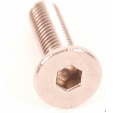 bout rempotdeksel inbus m4x16mm rvs 25pcs