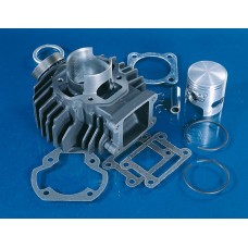cilinder polini 45mm past op chappy ac 2t 166.0050