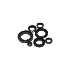 keerringset bac Yamaha (voor roterende schijf motor) past op fs1