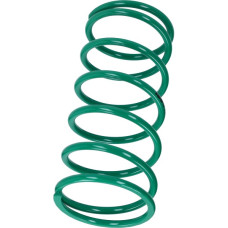 koppelingdrukveer malossi 70.30x156.5mm groen past op ak550, t-max560 2914401.g0