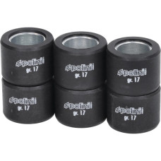 variorolset polini 17.0gr 23x18mm adv350, sh300, xciting 250, x-max 250cc, x-max 300, agility 300cc 242.300