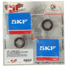 lager+keerringset cif krukas viton skf 50cc gilera, runner, typhoon, mojito, sco piaggio 2t, sportcity one lager+keerringset cif krukas viton skf 50cc gilera, runner, typhoon, mojito, sco piaggio 2t, sportcity one