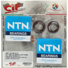 lager+keerringset cif krukas viton ntn 50cc runner, typhoon, sco piaggio 2t, sportcity one lager+keerringset cif krukas viton ntn 50cc runner, typhoon, sco piaggio 2t, sportcity one