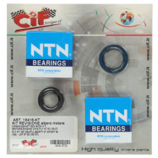 lager+keerringset cif krukas 4t (gelijke lagers) Aprilia/Piaggio/Vespa, scarabeo, sco piaggio 4T lager+keerringset cif krukas 4t (gelijke lagers) Aprilia/Piaggio/Vespa, scarabeo, sco piaggio 4T