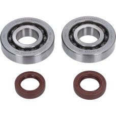 lager+keerringset polini krukas race 50cc sco piaggio 2t 282.0201