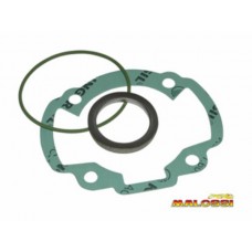 pakking topset malossi 47mm dj, dj refined, kb-k12, sco peug, scout 119588 pakking topset malossi 47mm dj, dj refined, kb-k12, sco peug, scout 119588