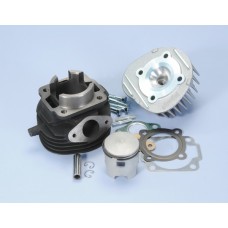 cilinder met kop polini racing 47mm past op pk50 140.0053/r