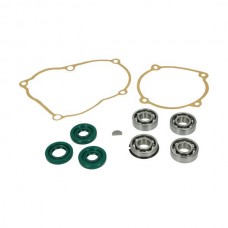 lager+keerringset DMP oud type complete motor 10-delig puch maxi