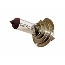 lamp 12V halogeen DMP 55W h7 o.a. px26d 1pcs gilera, runner 180cc