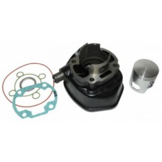 cilinder malossi 47mm minarelli hor lc 318283