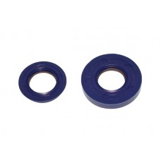 keerringset polini krukas viton past op minarelli hor+vert 285.0002 keerringset polini krukas viton past op minarelli hor+vert 285.0002