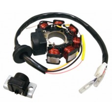 ontsteking DMP 2-bouts 6 spoelen bws, mbk booster, cpi, f12r ac, minarelli hor+vert