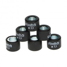 variorolset polini 6.0gr 15x12mm past op minarelli 242.138 variorolset polini 6.0gr 15x12mm past op minarelli 242.138