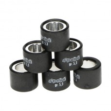 variorolset polini 5.0gr 19x15.5mm past op sco piaggio nt 242.082 variorolset polini 5.0gr 19x15.5mm past op sco piaggio nt 242.082