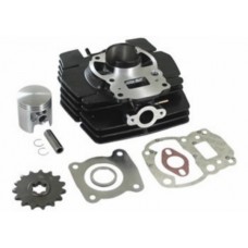 cilinder malossi aluminium 70cc 47mm tsx 314894