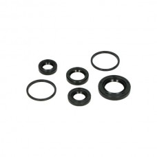 keerringset DMP motorblok 6-delig buxy, speedake, speedfight, sv, viva, zenith