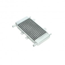 radiateur DMP runner, zip2000sp 299389 radiateur DMP runner, zip2000sp 299389