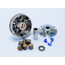 variokit polini 19x15.5mm gilera runner, sco piaggio nt 241.561