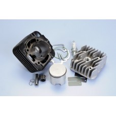cilinder met kop polini racing 47mm sco piaggio ac 140.0181/r