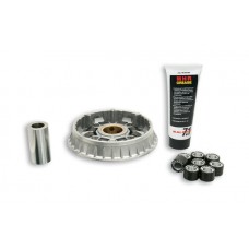 variokit malossi gp800, srv850 5116230