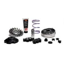 variokit malossi + koelvin aluminium mhr team 2 sco piaggio 2t 5118238