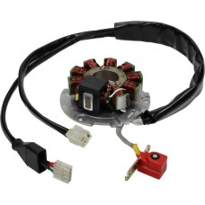 Ontsteking Piaggio 125-180 2-Takt - Gilera Runner FX/FXR 125-180, Italjet Dragster 125-180, Hexagon LX/LXT 125-180 - met CDI ook passend op Piaggio SKR125, SKR150, TPH125, Skipper125, Skipper150 BGM 8180