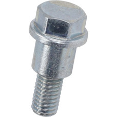 bout Piaggio origineel spanrol m8x25mm beverly 400cc, beverly 500cc, mp3 400, mp3 500cc 829693