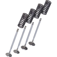 kleppenset malossi + veren 125/300cc beverly, gts, gtv, mp3, runner 2714047