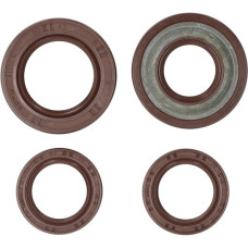 keerringset BGM PRO viton hexagon 125cc, runner 125cc, runner 180cc, skipper 125cc bgm1146