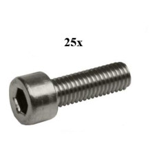 bout inbus m6x20mm rvs 25pcs