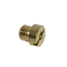 sproeier dellorto groot 6mm 76