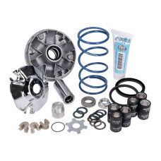variokit polini + veer evo2 hi-speed evolution 16mm sco piaggio 2t 241.751 variokit polini + veer evo2 hi-speed evolution 16mm sco piaggio 2t 241.751