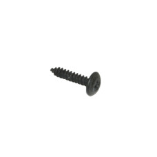 parker Piaggio origineel beplating 4.2x19mm sco piaggio 258249 parker Piaggio origineel beplating 4.2x19mm sco piaggio 258249