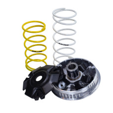 variokit malossi euro 3/4/5 liberty 125cc, primavera 125 4t, sprint 125 4t 5116674