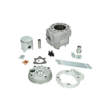 cilinder met kop polini big evolution race Aprilia / Beta/Sherco 93.4cc 52mm minarelli am6 133.1012