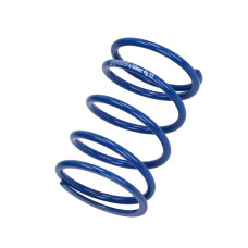 koppelingdrukveer polini evo slider 4.7 sco piaggio, sco piaggio 2t, sco piaggio 4T, sprint 2t, sprint 4t 243.113 koppelingdrukveer polini evo slider 4.7 sco piaggio, sco piaggio 2t, sco piaggio 4T, sprint 2t, sprint 4t 243.113