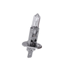 lamp 12V flosser 55W h1 1pcs